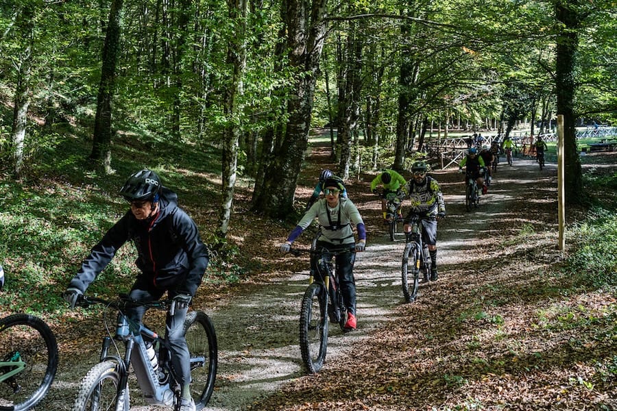 Esplora il bosco su due ruote