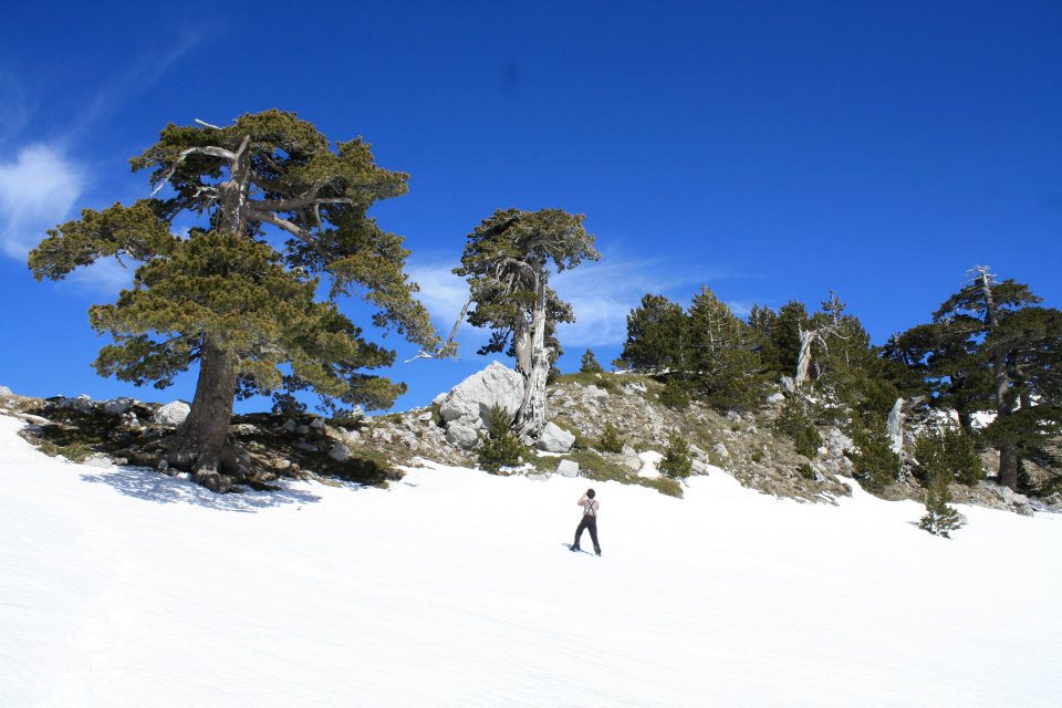 Parco Nazionale del Pollino e della Val D'Agri Lagonegrese