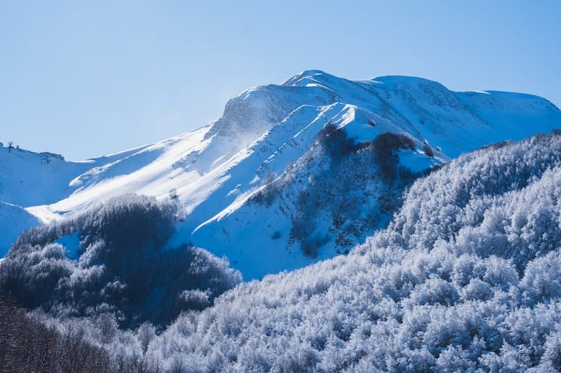 Il bosco d’inverno è pura magia