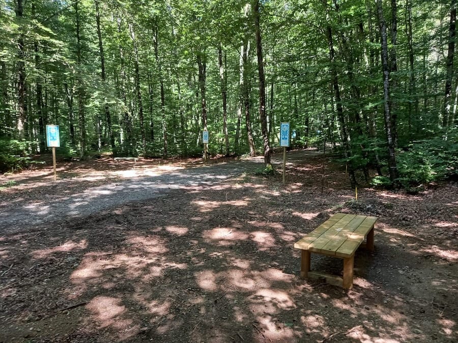 Esplora il bosco passo dopo passo
