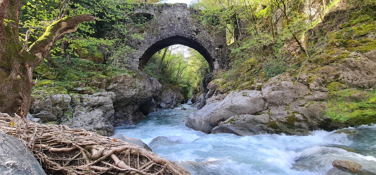 Il Bosco Malerba